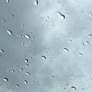 Meet your Posher, Ivan